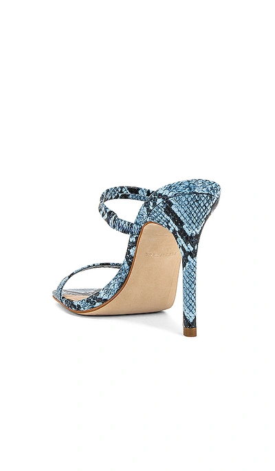 Shop Steve Madden Michele 스틸레토 In Blue Snake