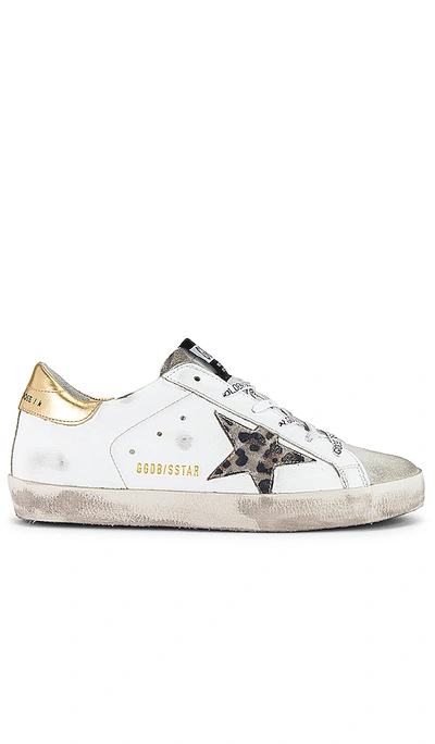 Shop Golden Goose Superstar Sneaker In White, Spotted Star & Logo Lace