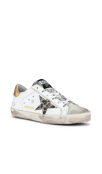 Shop Golden Goose Superstar Trainer In White, Spotted Star & Logo Lace