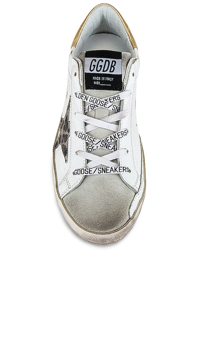 Shop Golden Goose Superstar Sneaker In White, Spotted Star & Logo Lace