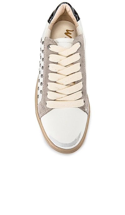 Shop Sam Edelman Esme Sneaker In White & Fog Grey