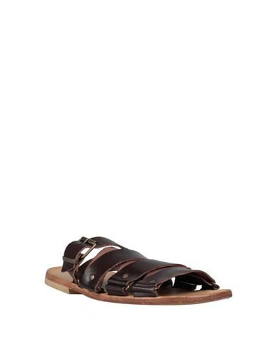 Shop Moma Sandals In Dark Brown