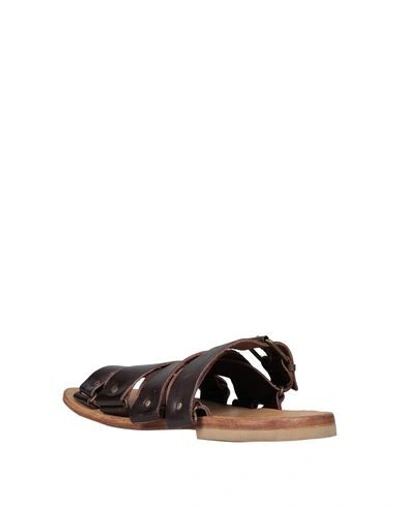 Shop Moma Sandals In Dark Brown