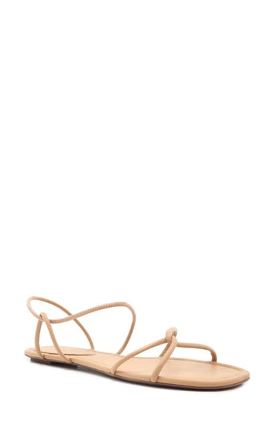Shop Schutz Aimi Strappy Flat Sandal In Honey Beige Leather