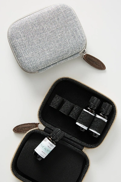 Shop Anthropologie Essential Oils Carry Case In Blue