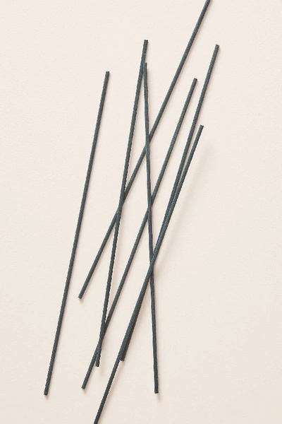 Shop Anthropologie Diffuser Reed Sticks In Green