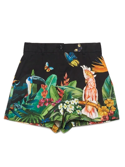 Shop Dolce & Gabbana Jungle Shorts In Multicolor