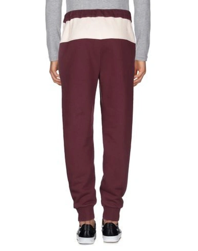 Shop Marni Pants In Maroon