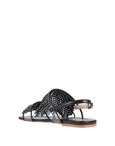 Shop Polly Plume Sandals In Black