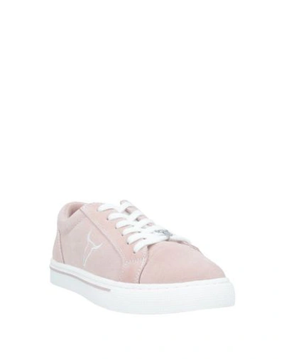 Shop Windsor Smith Woman Sneakers Light Pink Size 8 Soft Leather