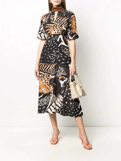 Shop Temperley London Rosella Bird Dress