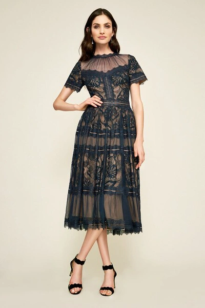 Shop Tadashi Shoji Camilla Tea Length Dress