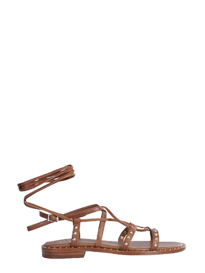 Shop Ash Princess Sandals In Cuoio