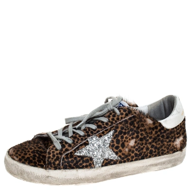 Pre-owned Golden Goose Brown Leopard Print Calfhair And Leather Superstar Low Top Sneakers Size 39