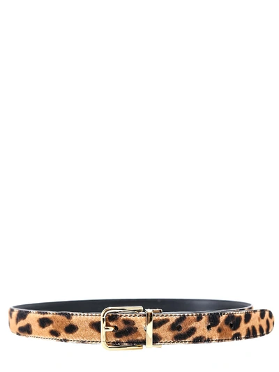 Shop Dolce & Gabbana Belt In Brown