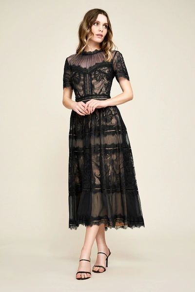 Shop Tadashi Shoji Camilla Tea-length Dress - Petite In Black/nude