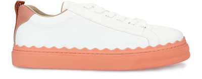 Shop Chloé Lauren Sneakers In Smoked Coral