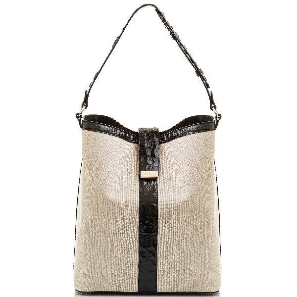 brahmin large amelia