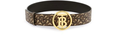 Shop Burberry Tb Circle Belt In Bridle Brown