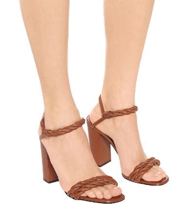 Shop Valentino The Rope 100 Leather Sandals In Brown