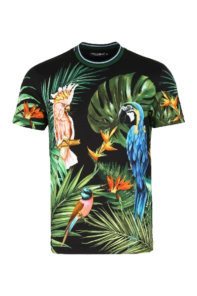 Shop Dolce & Gabbana Printed Short Sleeve T-shirt In Multicolor