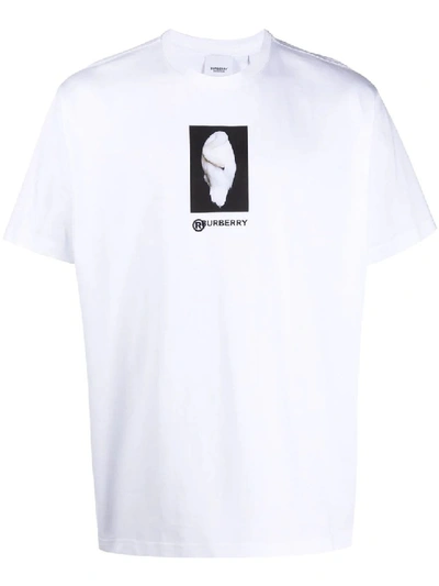 Shop Burberry White Swan Print Logo T-shirt