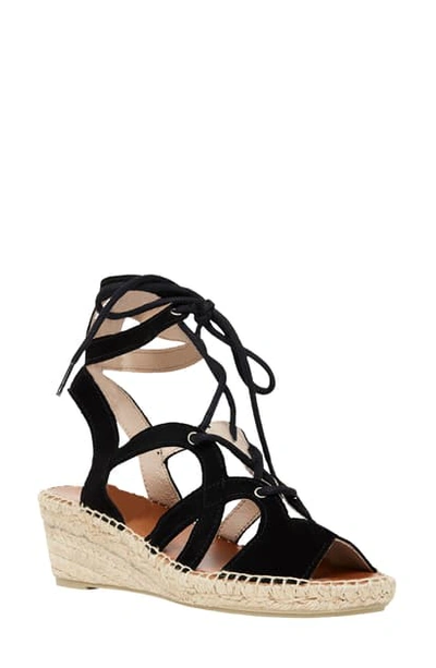 Shop Andre Assous Deanna Wedge Sandal In Black Suede