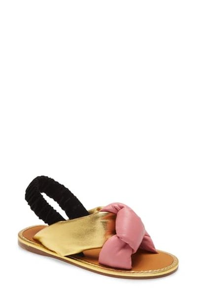 Shop Miu Miu Knot Slingback Flat Sandal In Black/ Gold/ Pink