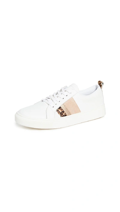 Shop Kaanas Bristol Lace-up Sneakers In Cheetah