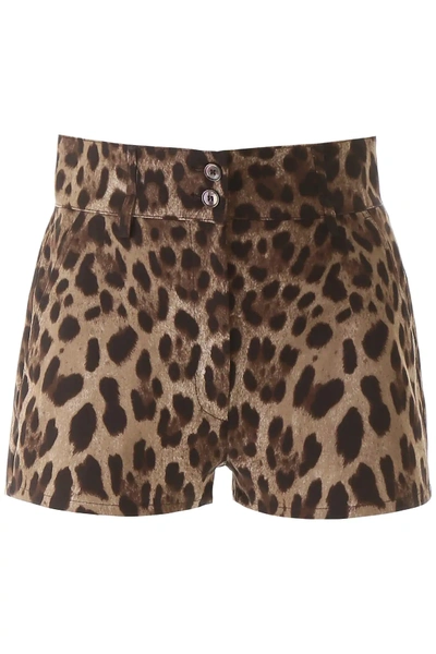 Shop Dolce & Gabbana Animal Print Shorts In Brown,black,beige