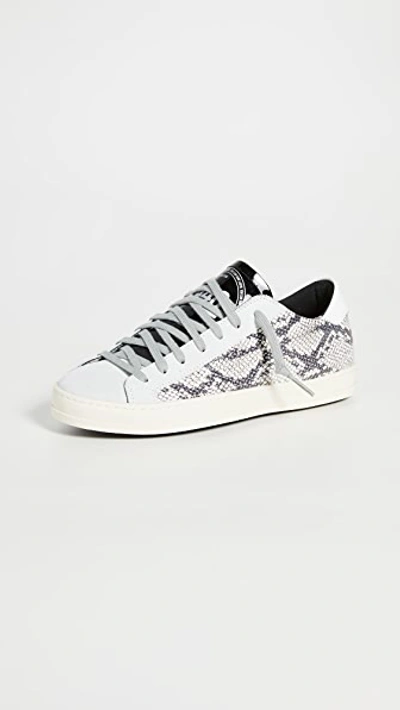Shop P448 John Sneakers In Silpy/grey Lace