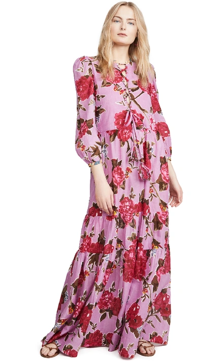 Shop Alix Of Bohemia Ramble On Rose Dress In Pink/purple