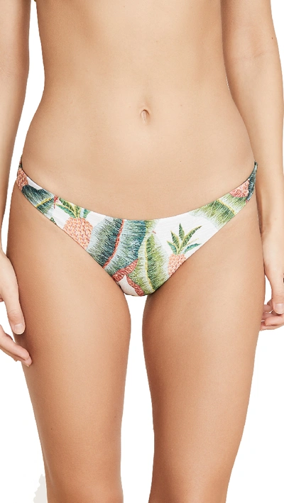 Shop Farm Rio Forest Palm Bikini Bottoms