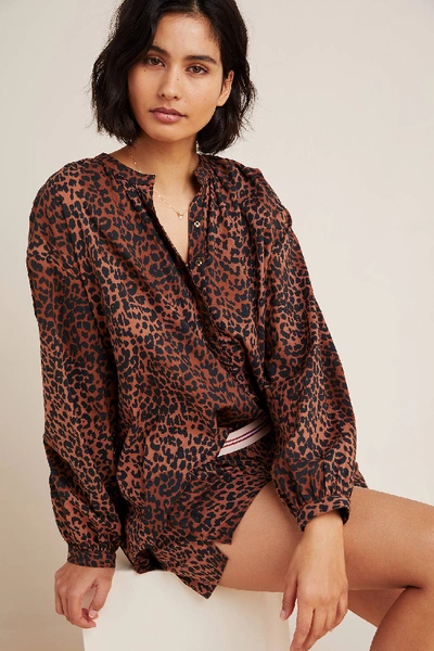 Shop Love Stories Mila Leopard Top In Assorted