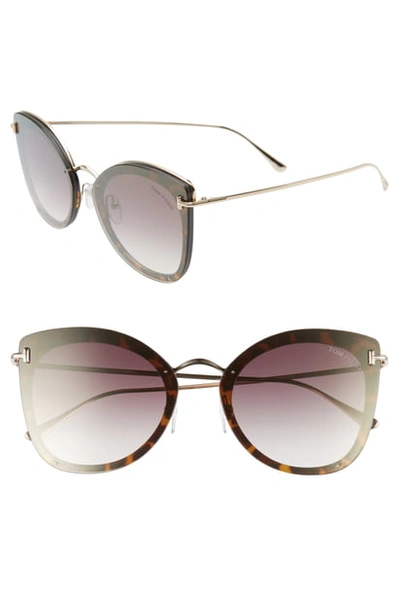 Shop Tom Ford 62mm Oversize Butterfly Sunglasses In Havana/ Rose Gold/ Gold