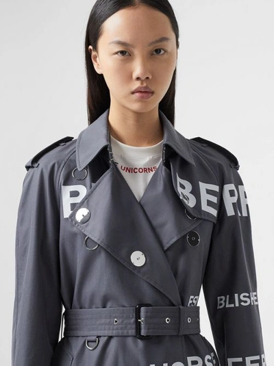 burberry horseferry trench