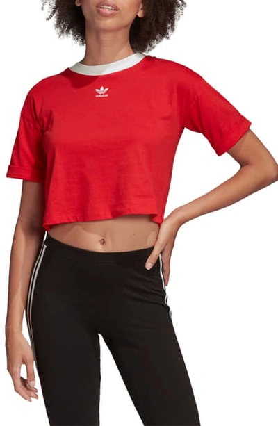 Shop Adidas Originals Ringer Crop Top In Lush Red/ White