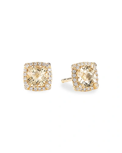 Shop David Yurman Petite Chatelaine Pave Bezel Stud Earrings In 18k Yellow Gold With Champagne Citrine