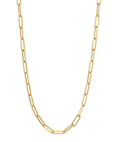 Shop Zoe Lev Jewelry 14k Gold Paper Clip Chain Necklace