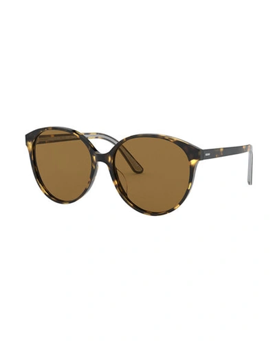 Shop Oliver Peoples Brooktree Polarized Oval Sunglasses In Brown