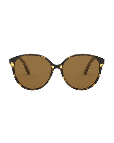 Shop Oliver Peoples Brooktree Polarized Oval Sunglasses In Brown