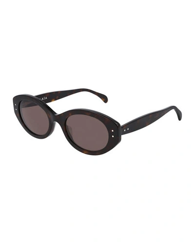 Shop Alaïa Oval Acetate Sunglasses In Havana