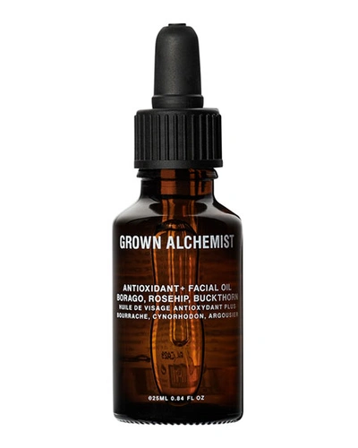 Shop Grown Alchemist 0.8 Oz. Antioxidant+ Facial Oil