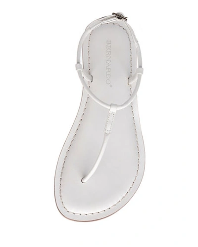 Shop Bernardo Lilly Flat Thong Sandals In White