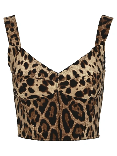 Shop Dolce & Gabbana Leopard Print Bustier Top