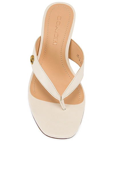 Shop Coach Audree Leather Sandal In Chalk