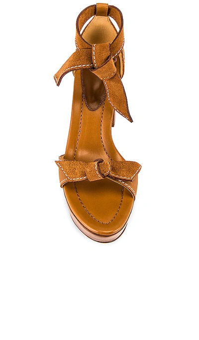 Shop Alexandre Birman Clarita Plateau Sandal In Cuoio