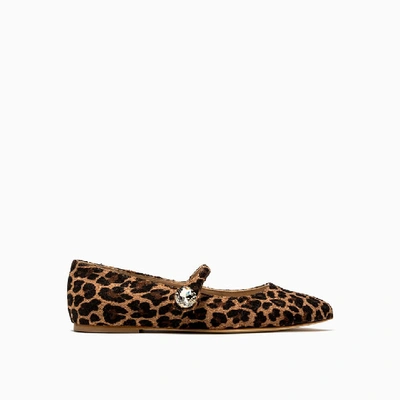 Polly Plume Bonnie Stone Zoo Ballerinas In Leopard