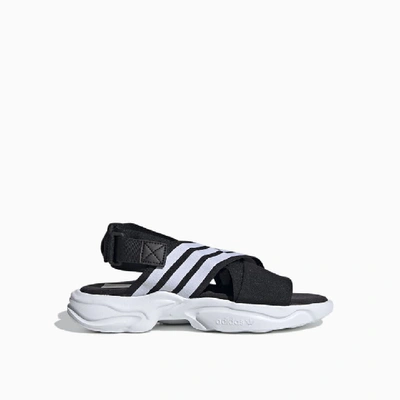 Shop Adidas Originals Adidas Magmur Sandals Ef5863 In Core Black