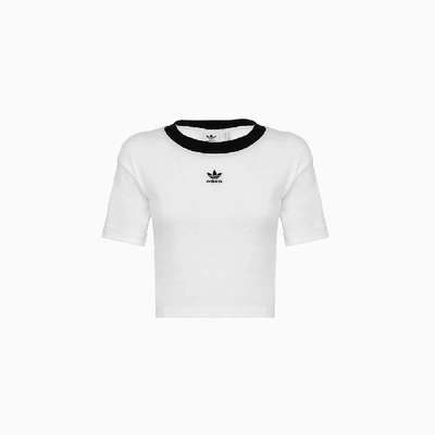 Shop Adidas Originals Adidas Original Crop T-shirt Fm2556 In White